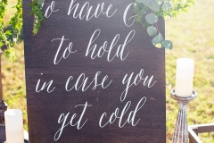 Magnolia-Photography-Wedding-Photos-Brittney-Casey-d-046