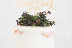 Magnolia-Photography-Wedding-Photos-Brittney-Casey-d-052