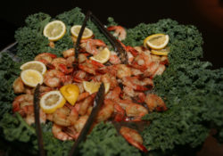 shrimp