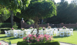 outdoor reception