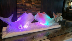 ice sculpture