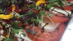 caprese salad