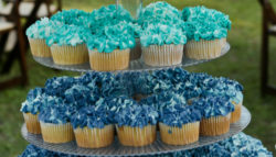blue cupcakes