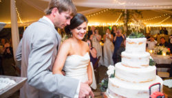 bride and groom cutting the cake
