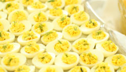 deviled eggs