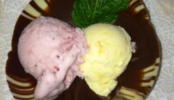 homemade sorbet
