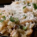 wild mushroom risotto