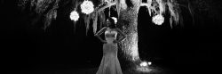 bride in wedding gown standing in front of beautiful oak tree