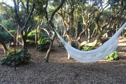 white hammock in woods at wedding